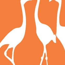 nouveaucollective flamingo tsatsuma