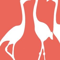 nouveaucollective flamingo watermelon