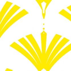 nouveaucollective sunrise daffodil