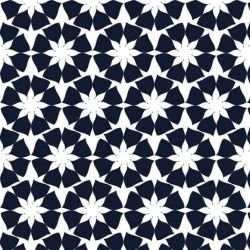 la paradiso  sc galleria night sky