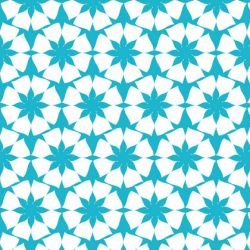 la paradiso  sc galleria reverse bondi blue