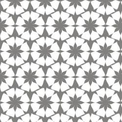 la paradiso  sc galleria reverse koala