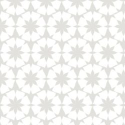 la paradiso  sc galleria reverse mist