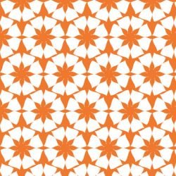 la paradiso  sc galleria reverse tsatsuma