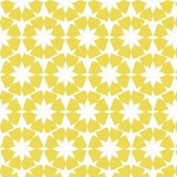 la paradiso  sc galleria straw