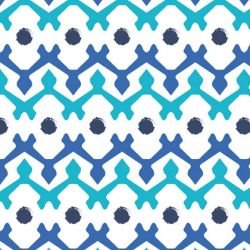 la paradiso  sc tribal dance reverse ocean