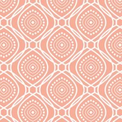 la paradiso  sp aurareverse trout