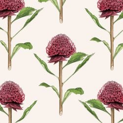native waltz botanicalwaratah eggshell 