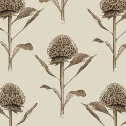 native waltz botanicalwaratah sepia 
