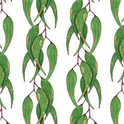 native waltz paintedgumleaves white 