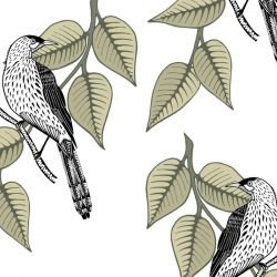 native waltz wattlebird eggshell 