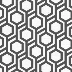 oriental collective  hachi lead