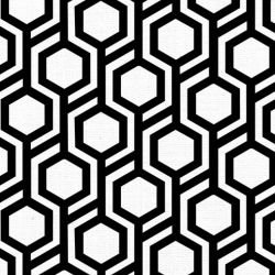 oriental collective  hachi tar