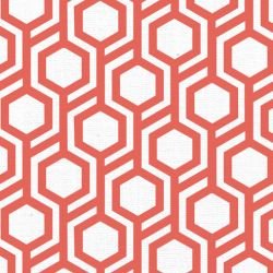 oriental collective  hachi watermelon