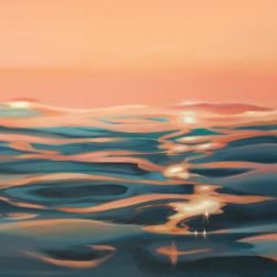 a coastal life sun glints one