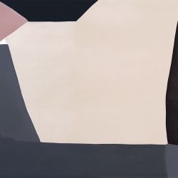 abstract dimensions guarded navy