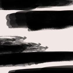 posing and patterns asymmetric horizons black