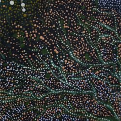 whadjuk dreaming sisters dreaming a sister 