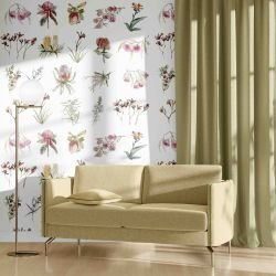 australian native doodles concept native discoveries