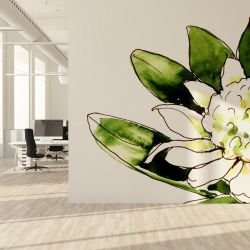 australian native doodles concept native waratah white 
