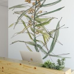 australian native doodles concept spirit tree