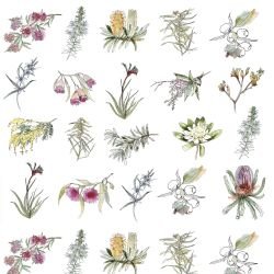 australian native doodles floral assembly