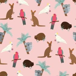 animated animals aussie animals summer