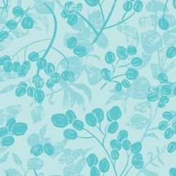 australian natives dried pods and eucalyptus coastal  