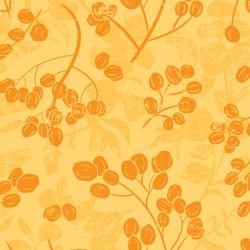 australian natives dried pods and eucalyptus sunshine  