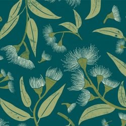 australian natives flowering gums coastal  