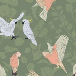 australian natives galahs and cockatoos bushland 