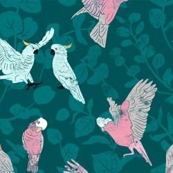 australian natives galahs and cockatoos coastal  