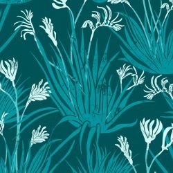 australian natives kangaroo paw coastal  