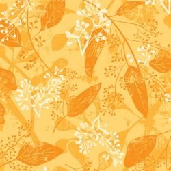 australian natives seeded eucalyptus sunshine  