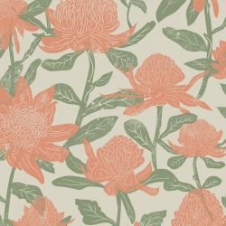 australian natives waratahs outback 