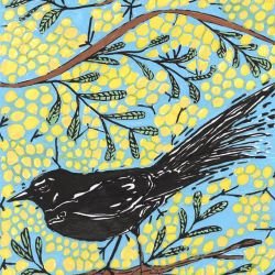 whadjuk dreaming djidi djidi wattleseed journey 