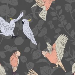 australian natives galahs and cockatoos gum tree  