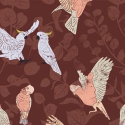 australian natives galahs and cockatoos outback  