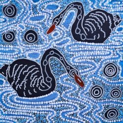 whadjuk dreaming maali on the derbal yerrigan 