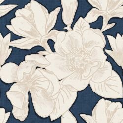 magnolia magnolia in full bloom blue