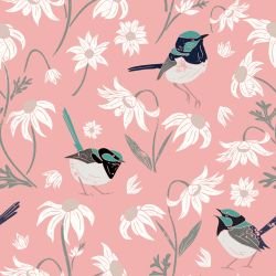 bushland beauties fairy wrens and flannel flowers desert rose