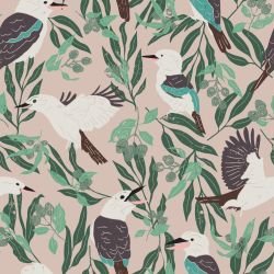 bushland beauties kookburras and gumnuts silver bark