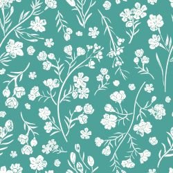 bushland beauties native wax flower coolibah cascade