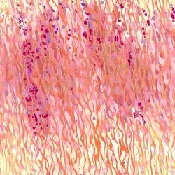 colour current meadow layers autumn