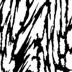 continuum bark original detail