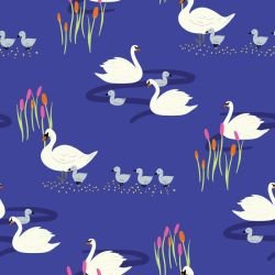 animated animals swan summer