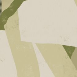 earthen pathways quiet tide greenery