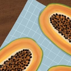 elegant contours melon delight multi