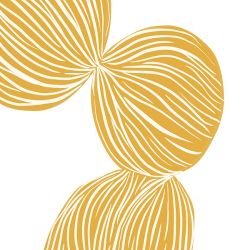 elegant contours segmented ponytail yellow