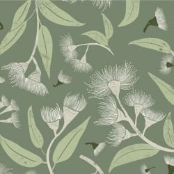 australian natives flowering gums bushland  